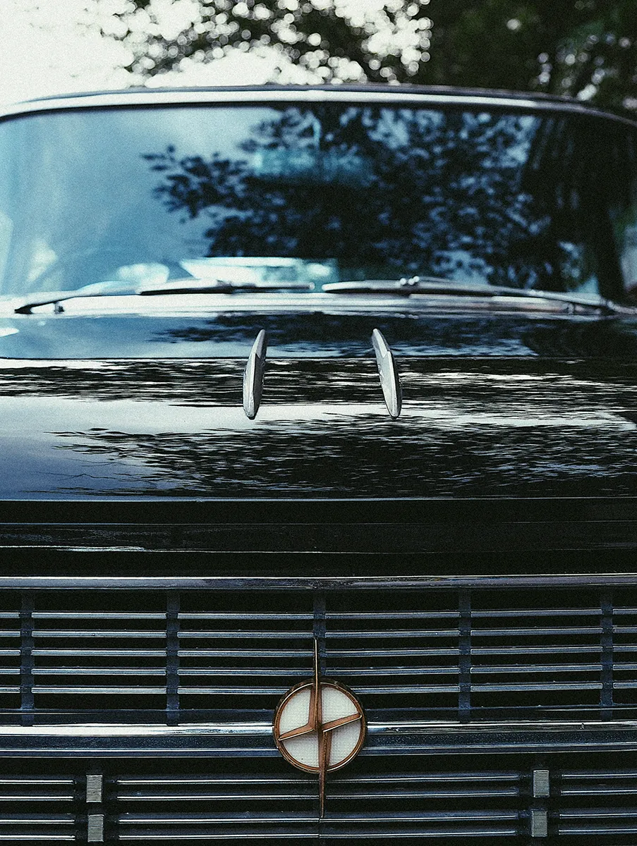 The bonnet